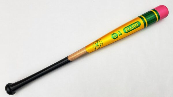 img_2906.jpg Model MS11